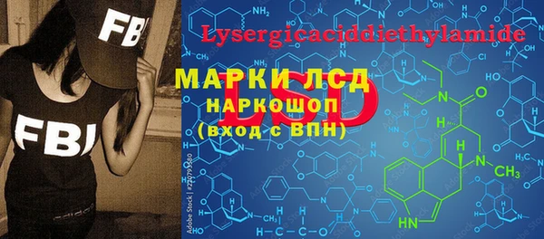 PSILOCYBIN Алзамай