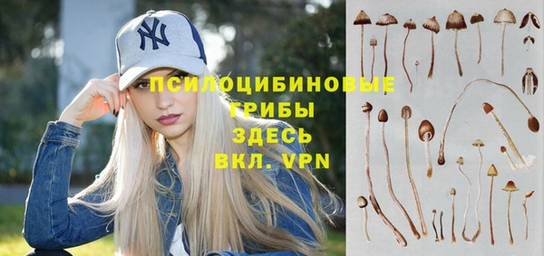 синтетический гашиш Алексеевка