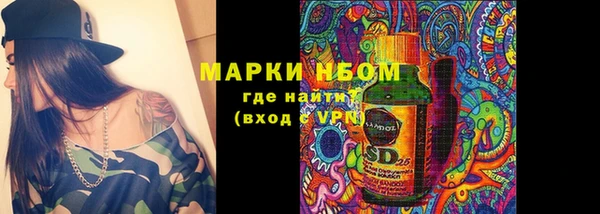 PSILOCYBIN Алзамай