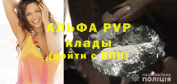 PSILOCYBIN Алзамай