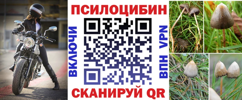 Галлюциногенные грибы Cubensis  kraken онион  Амурск 